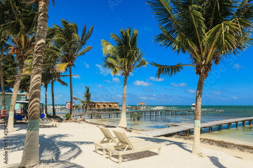 Palm Trees on the Sandy Beach, Belize  photo