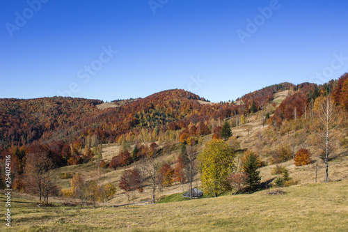Autumn in Carpatians mountains Ukraine Lypovitca