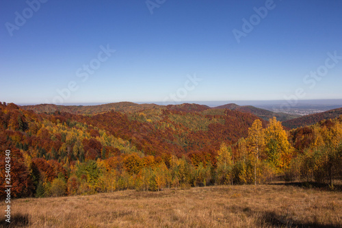 Autumn in Carpatians mountains Ukraine Lypovitca © serguk777