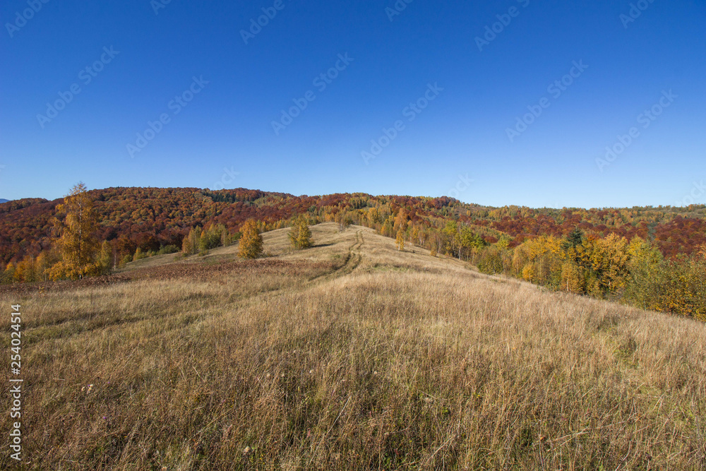 Autumn in Carpathians mountains Ukraine Lipovitca 