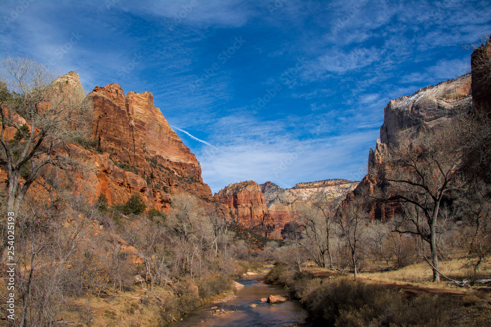 The Valley in Zion NP