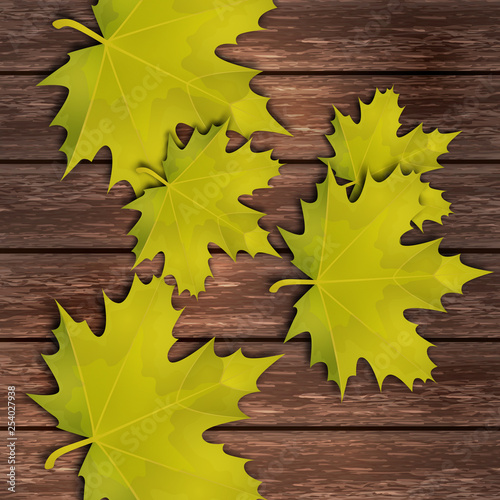 Bright autumn maple leaves on the background of wooden boards.