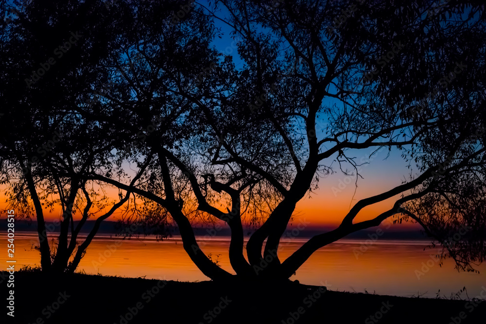 Incredible, bright sunset over the water against the background of which the silhouette of a large tree. Minsk Sea, Belarus Incredible, bright sunset over the water against the background of which the silhouette of a large tree. Minsk Sea, Belarus