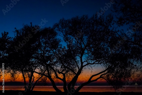 Incredible  bright sunset over the water against the background of which the silhouette of a large tree. Minsk Sea  Belarus