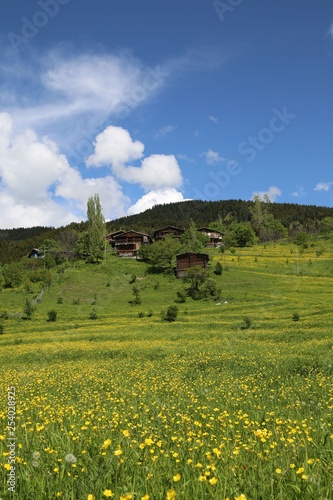 Spring Landscape Photos.savsat/artvin/turkey © murat