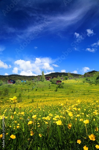 Spring Landscape Photos.savsat artvin turkey