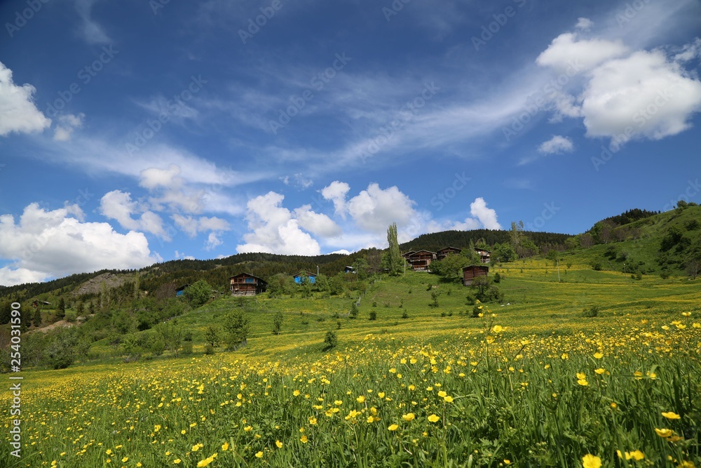 Spring Landscape Photos.savsat/artvin/turkey