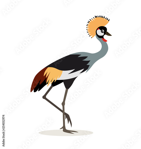 African animal, beautiful colorful crowned crane isolated on white background, exotic bird, vector illustration in flat style.