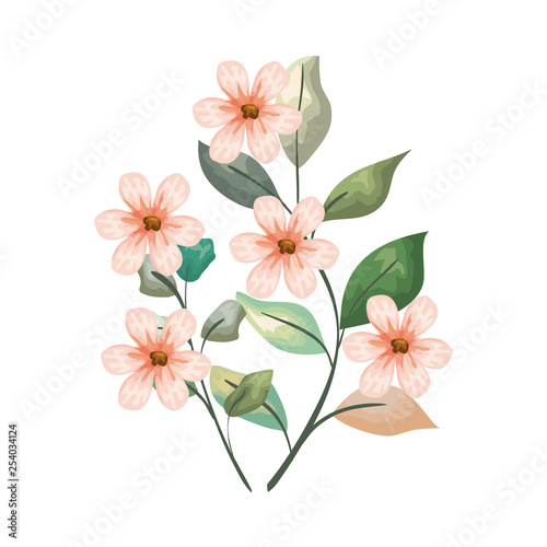 beautiful flowers decorative icon