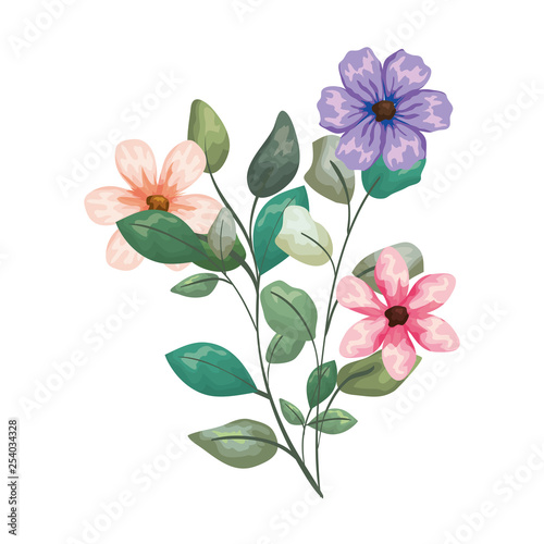 beautiful flowers decorative icon