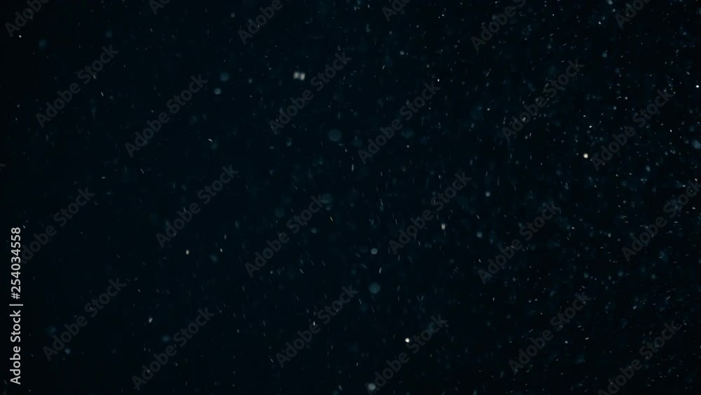 Natural Organic Dust Particles Floating On Black Background. Dynamic Dust Particles Randomly Float In Space With Fast And Slow Motion. Shimmering Glittering Colored Particles With Bokeh In The Air. Natural Organic Dust Particles Floating On Black Background. Dynamic Dust Particles Randomly Float In Space With Fast And Slow Motion. Shimmering Glittering Colored Particles With Bokeh In The Air.