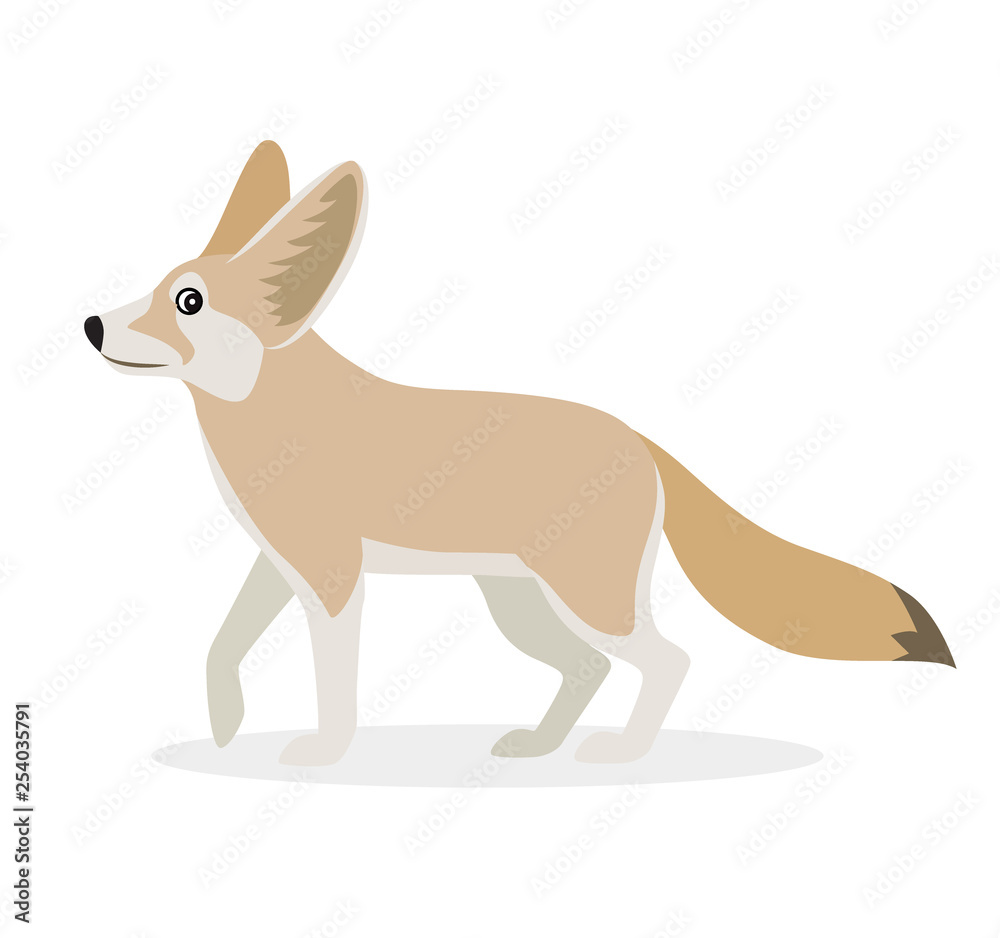 African animal, cute fennec icon isolated on white background, small funny fox, vector African animal, cute fennec icon isolated on white background, small funny fox, vector