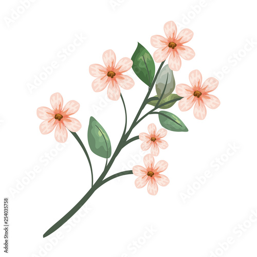 beautiful flowers decorative icon