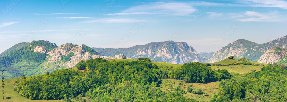 panorama of a landscape with rocky ridge. forested hill in front. wonderful springtime scenery. calm weather with blue sky