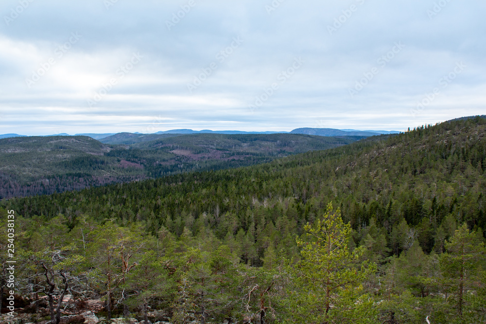 Parc National de Skuleskogen