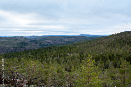 Parc National de Skuleskogen © Coralie