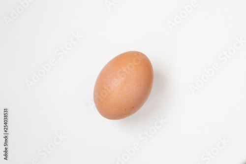 egg background White