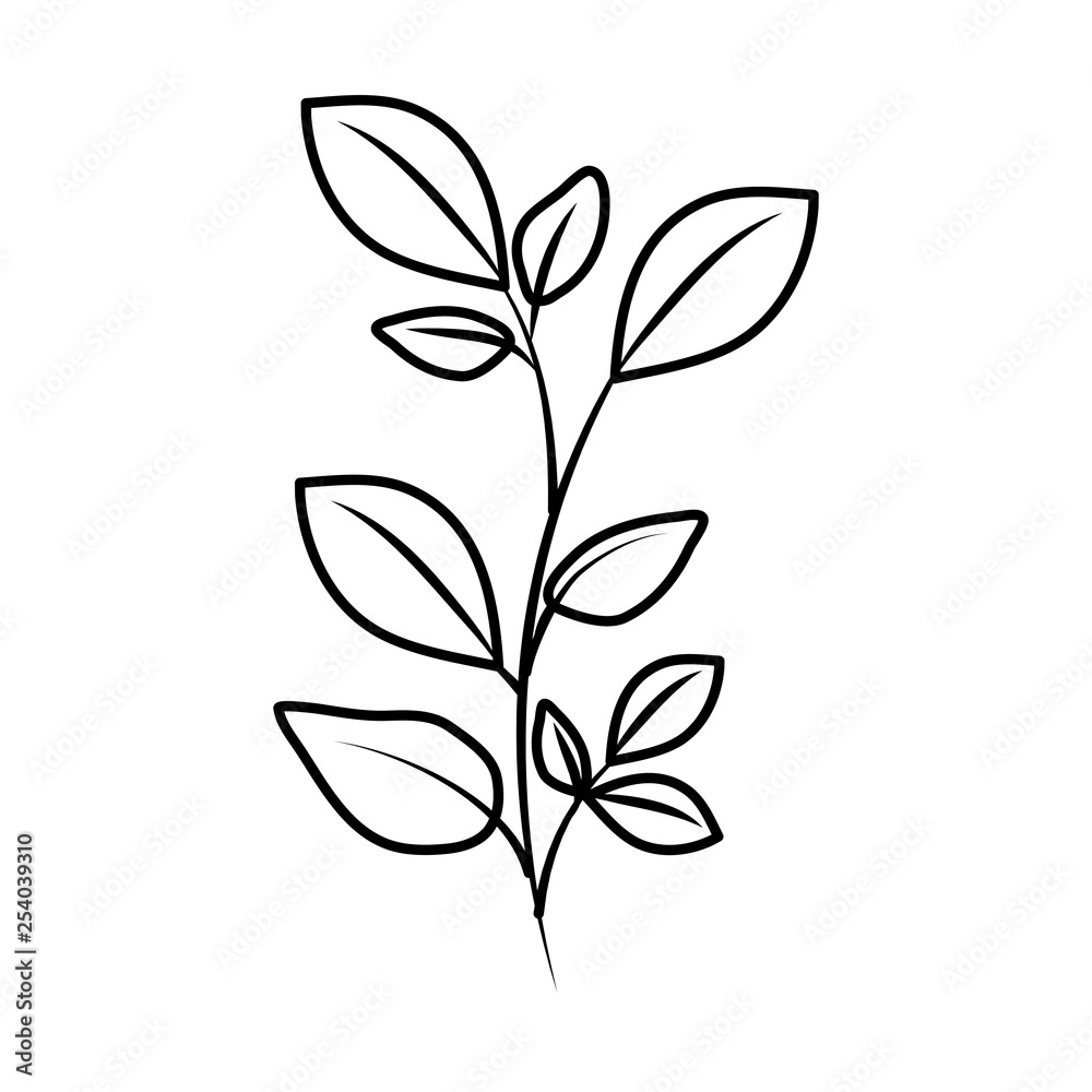 branch with leafs plant branch with leafs plant