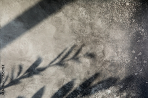 The sun light is casting over gray concrete wall, sunshade plant shadow. Summ...