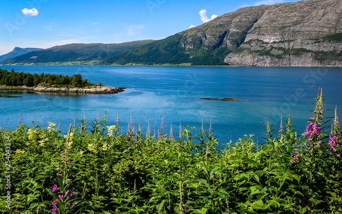 Village on the coast of the Norwegian fjord