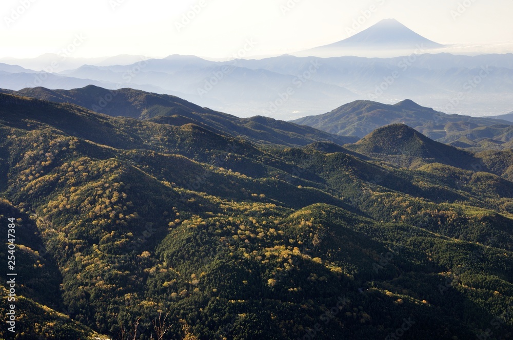 Obraz premium 奥秩父から望む富士山