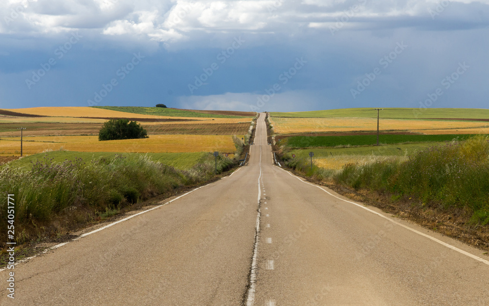 Larga recta de carretera en paisaje ondulado, entre  campos cultivados en tonos verdes y amarillos, al final de la primavera