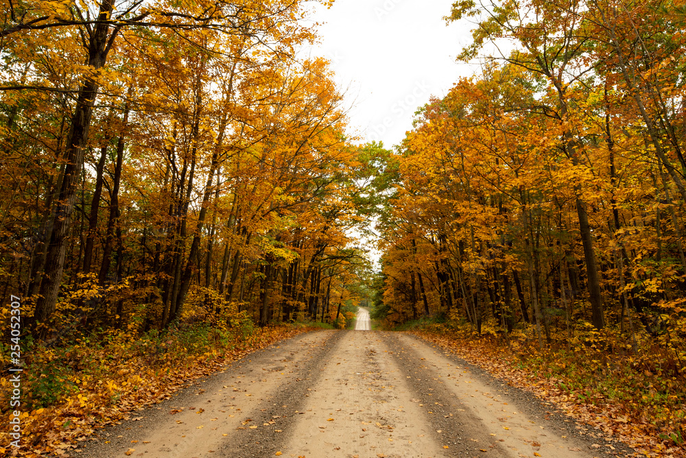 Obraz premium Country Road in Fall