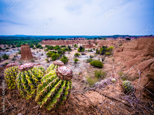 Obraz na płótnie Beautiful landscape in Cuzco Red Desert, in Tatacoa Desert, Huila, Colombia w salonie