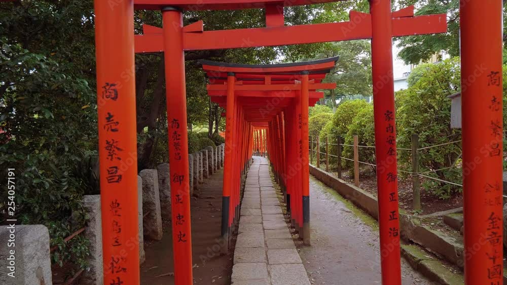 Impressive path covered by red gates at Nezu Jinja Shrine in Tokyo Impressive path covered by red gates at Nezu Jinja Shrine in Tokyo