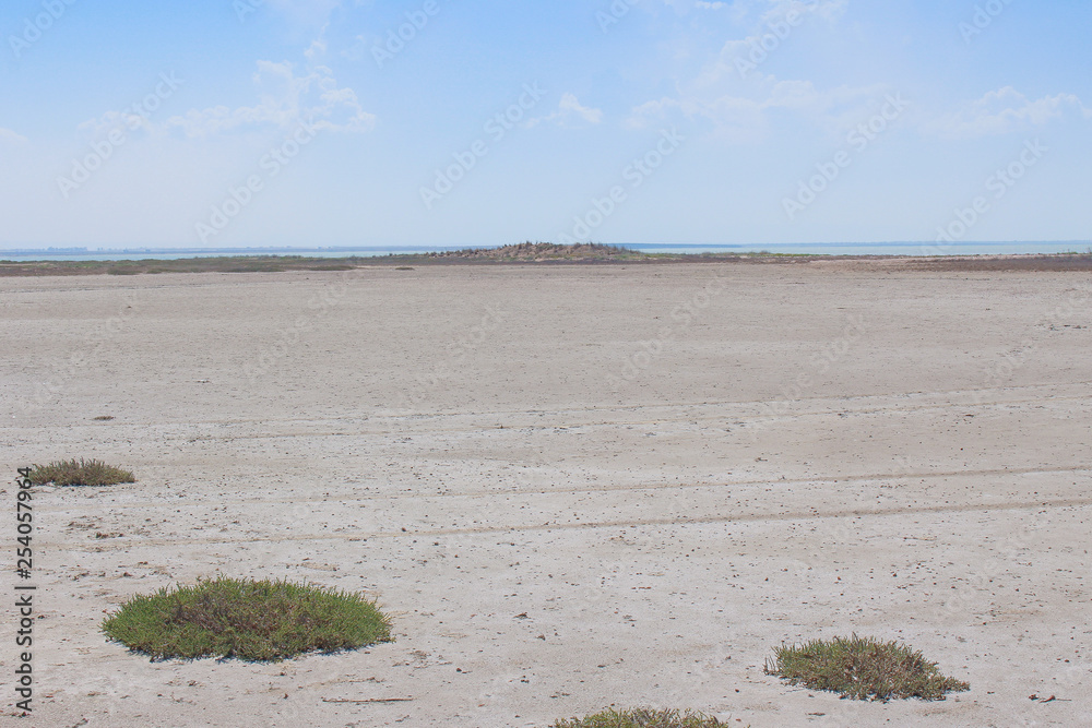 Rare Islands of dried grass in the steppe Rare Islands of dried grass in the steppe