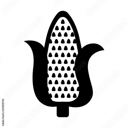 Isolated corn pop icon. Vector illustration design