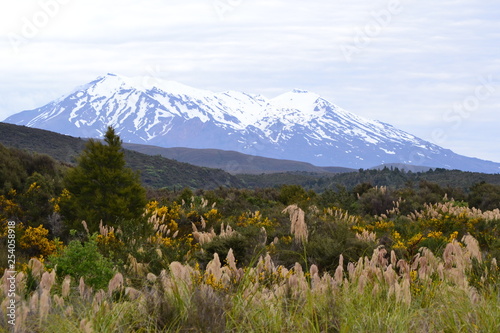 Schneeberge Neuseeland