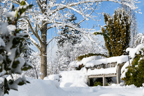 Snow covered wood bench in a snowy winter garden landscape  trees and bushes against a blue sky and white clouds