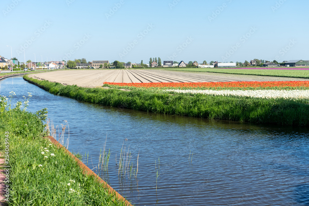 Netherlands,Lisse, a bridge over a body of water