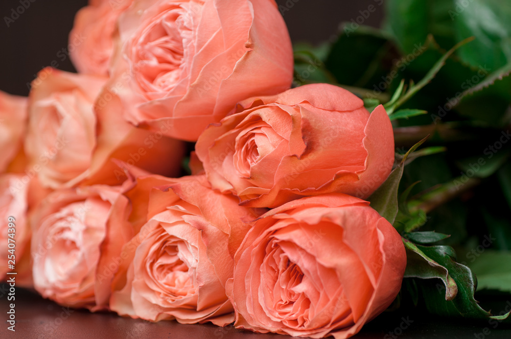 Pink roses in a bouquet on a dark background Pink roses in a bouquet on a dark background