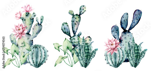Watercolor blooming pink cactus and green, blue cacti set, hand drawn flowers illustration. Perfect for design stickers, icons, greeting card, blog, banner. Isolated on white. Cacti collection.