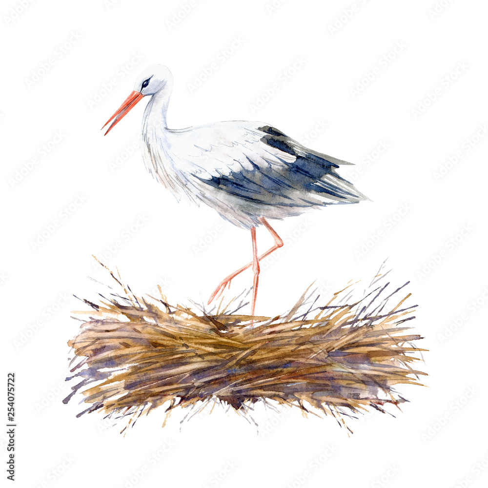 Stork on the roof in the nest. Newborn picture. Watercolor hand drawn illustration. Stork on the roof in the nest. Newborn picture. Watercolor hand drawn illustration.