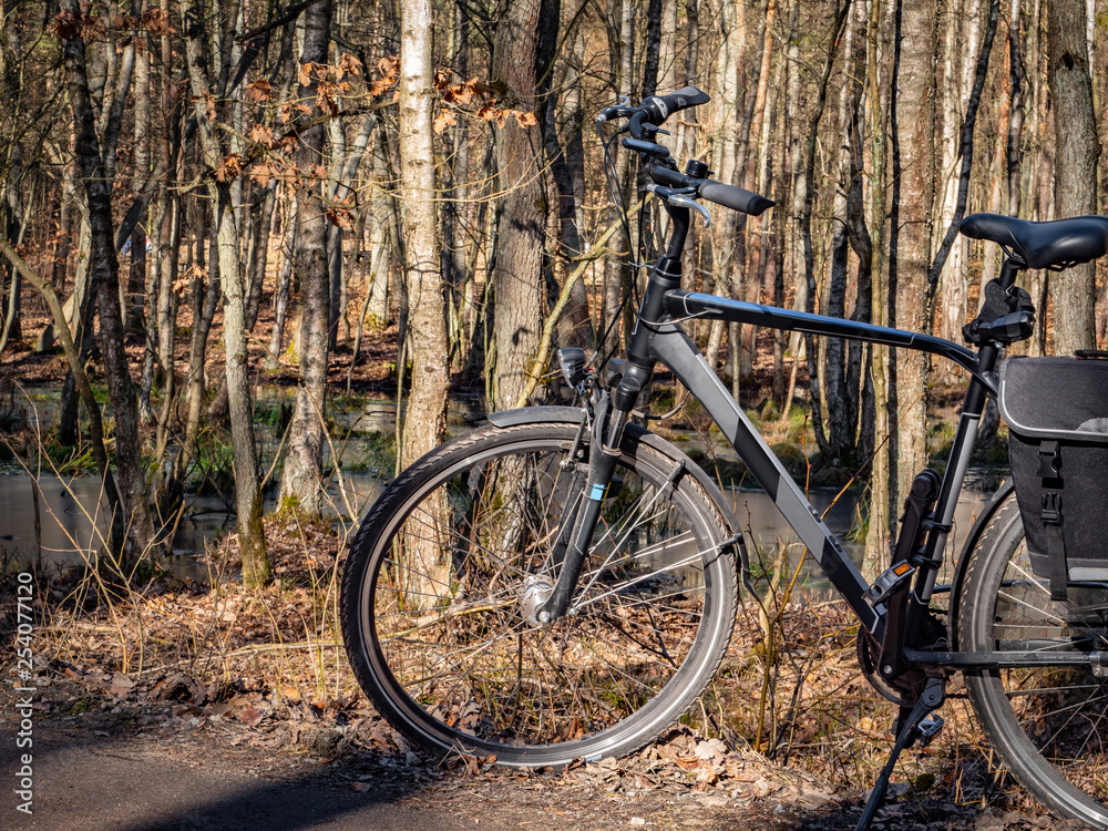 Bicycle on the trail in the forest, autumn season.