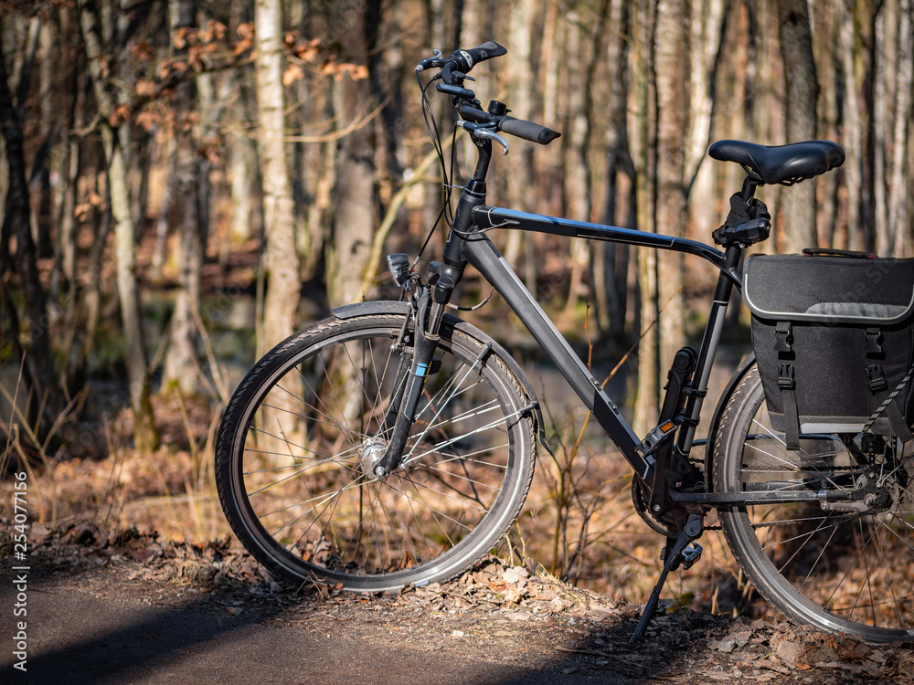 Bicycle on the trail in the forest, autumn season.