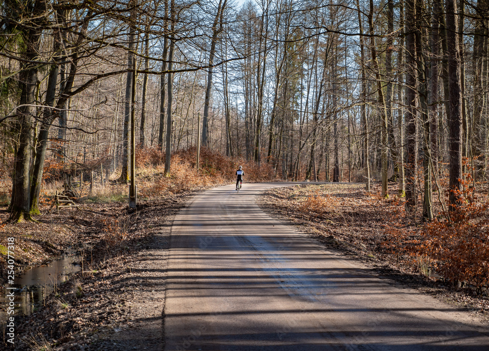 Cyclist Riding the Bike on the Trail in the Beautiful Autumn Forest
