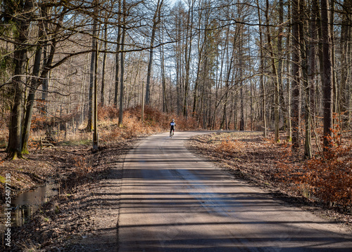 Obraz na płótnie Cyclist Riding the Bike on the Trail in the Beautiful Autumn Forest w salonie