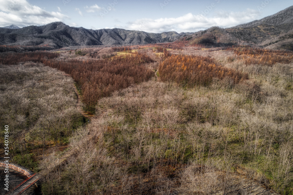 Fototapeta premium 秋の空撮