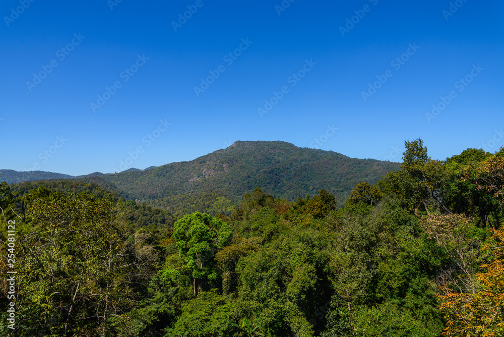 Outdoor sunny view over plenty of treetop of rain forest and background of mountain peak in Chiang Mai, Thailand.