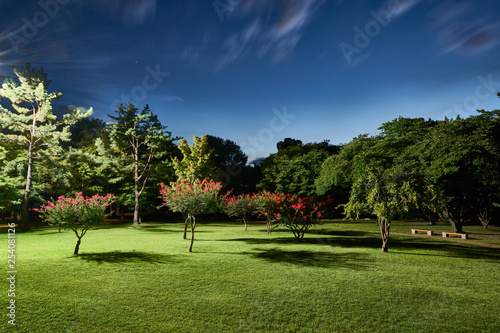 Anapji Pond Garden at night, Gyeongju, South Korea