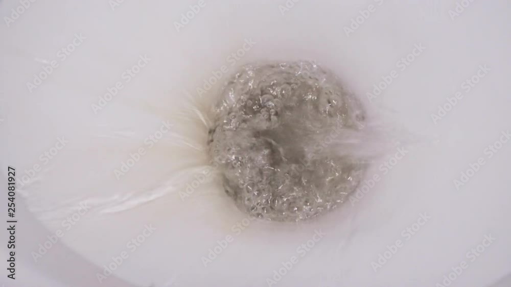 Water flushed in the toilet Water flushed in the toilet