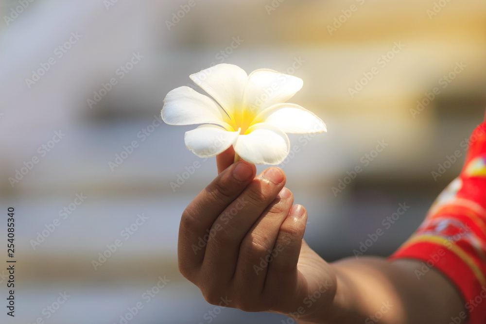 The image of a hand on natural background blur. The image of a hand on natural background blur.