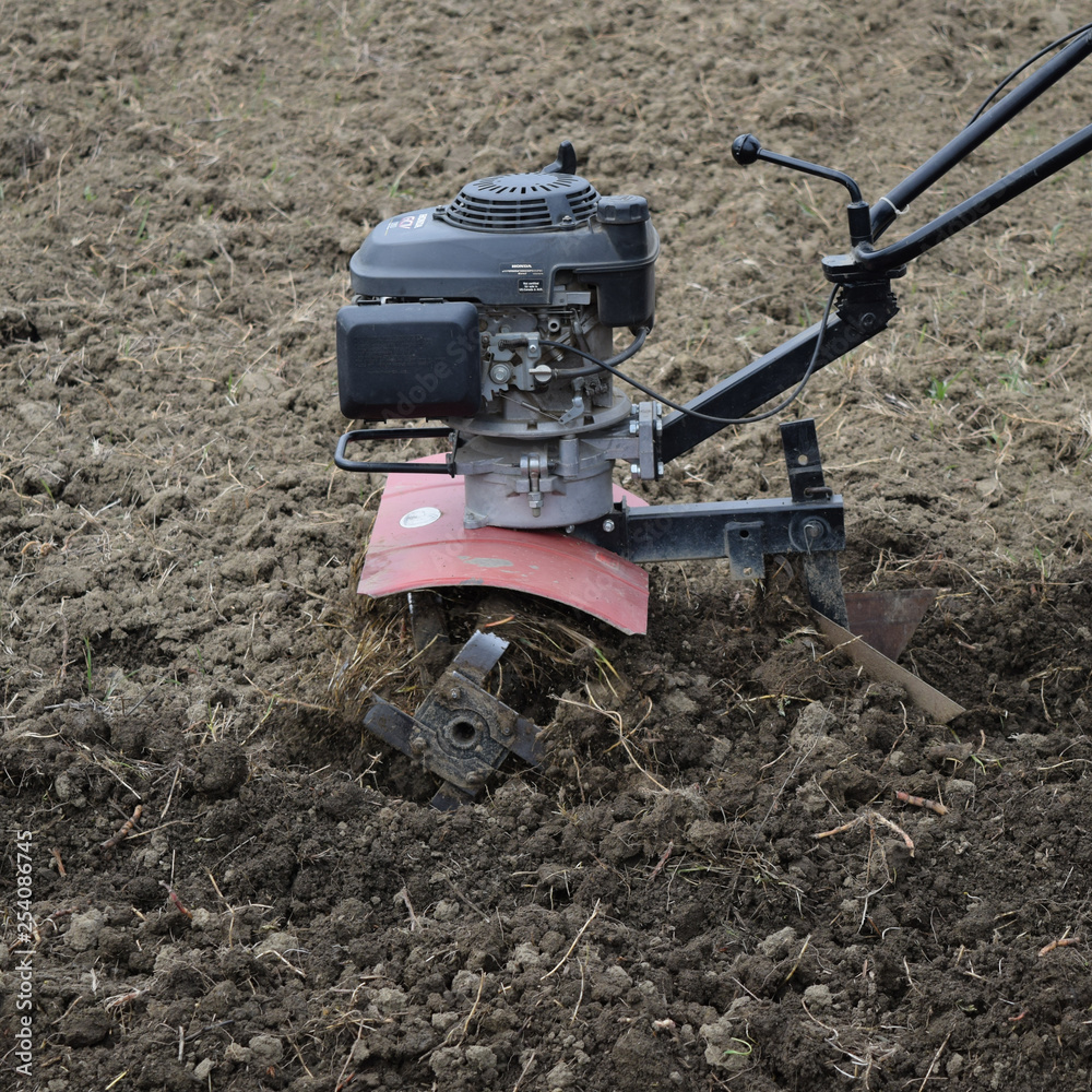 Planting potatoes under the walk-behind tractor Planting potatoes under the walk-behind tractor