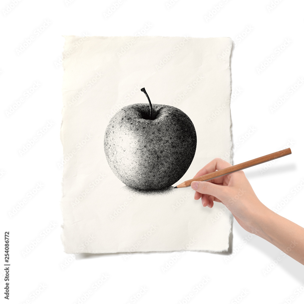 りんごのデッサンをする手 Stock Photo Adobe Stock