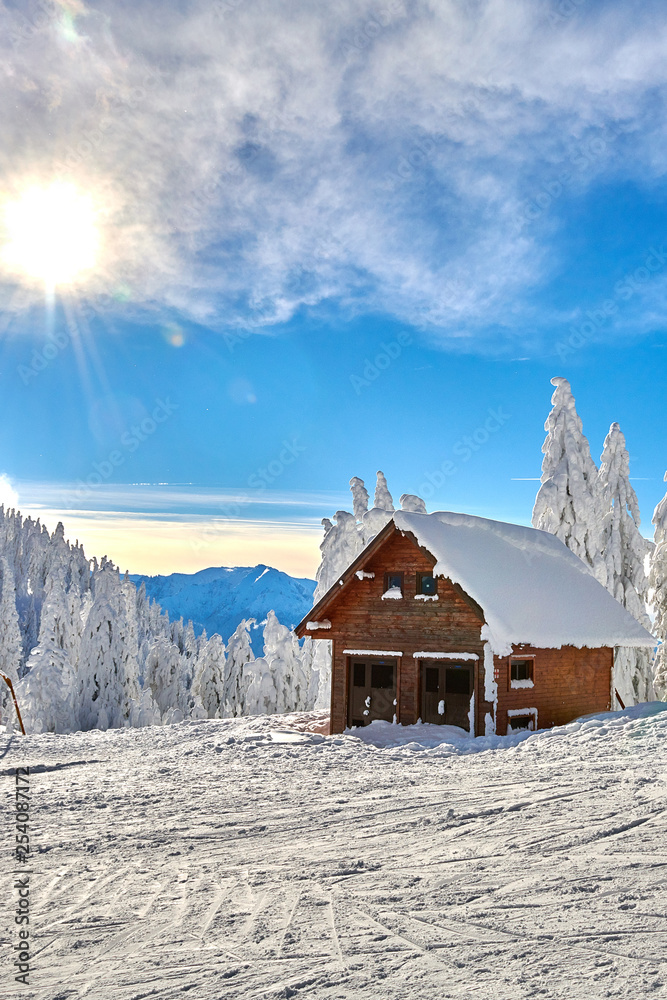 Panoramic view over the ski slope, ski resort in Transylvania, Pine forest covered in snow on winter season,Mountain landscape in winter,Poiana Brasov, Romania