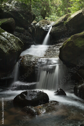 Fototapeta Naklejka Na Ścianę i Meble -  Buderim Hidden Waterfall in Buderim, Australia